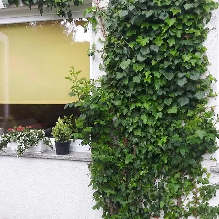 Goscinne Biura Turystycznego Kris *